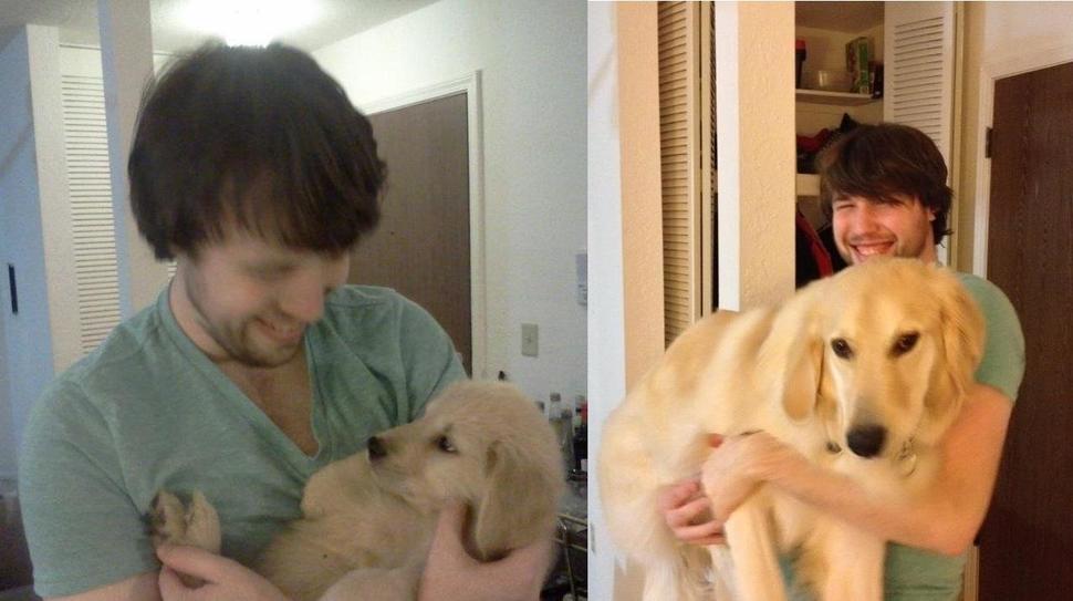 Мальчик вырос с собаками. Щенок и взрослая собака. Щенок и взрослая собака до и после. Пес подрос собака тоже.