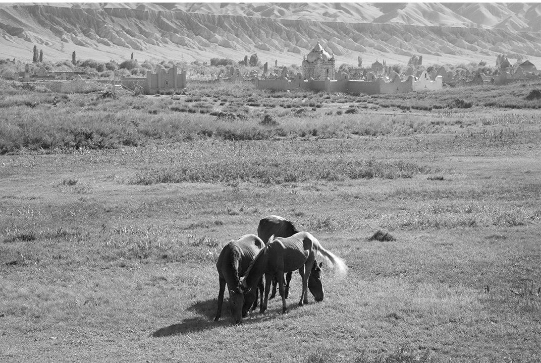 Лошади пасутся перед местом захоронения, который начал исчезать в ландшафт.