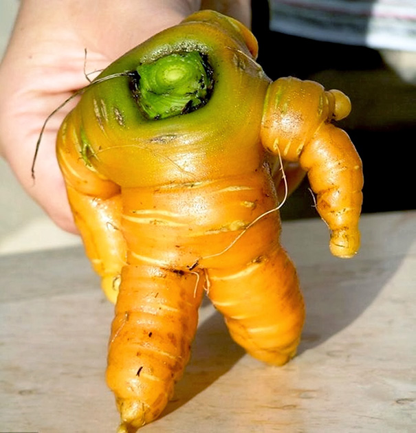 История игрушек Базз Лайтер, как морковь