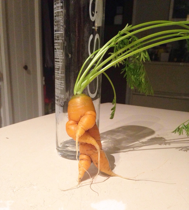 Морковка человечек
