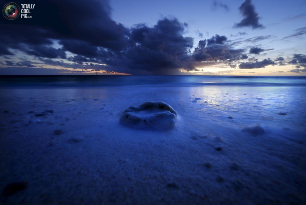 Риф раковины лежит на пляже, когда садится солнце на острове Леди-Эллиот.