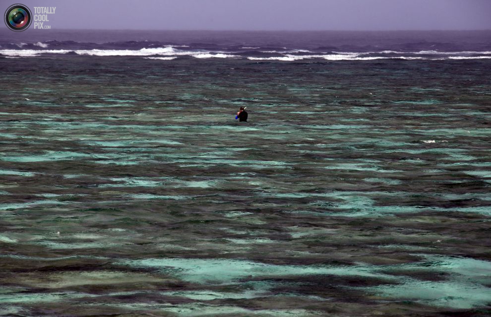 Турист со шноркелем в лагуне, расположенный на острове Леди-Эллиот, к северо-востоку от города Бандаберг в штате Квинсленд, Австралия.