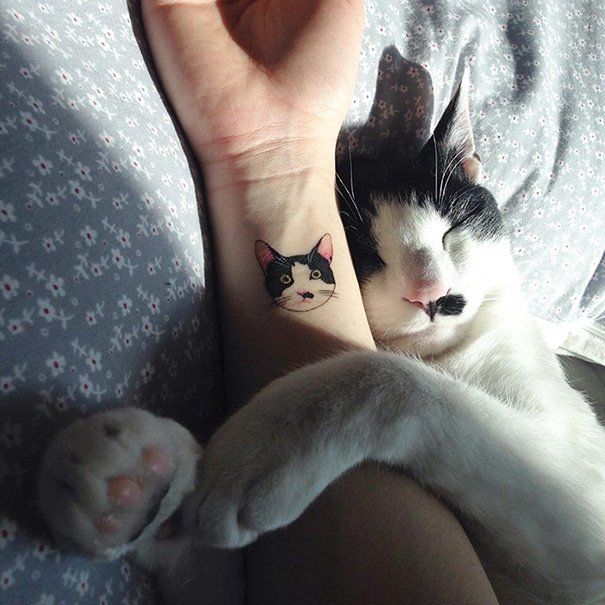 tatto_cat_17