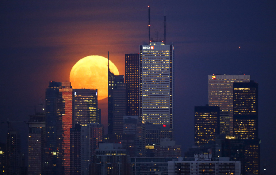 Луна встает из-за горизонта в Торонто, 25 ноября 2015 года