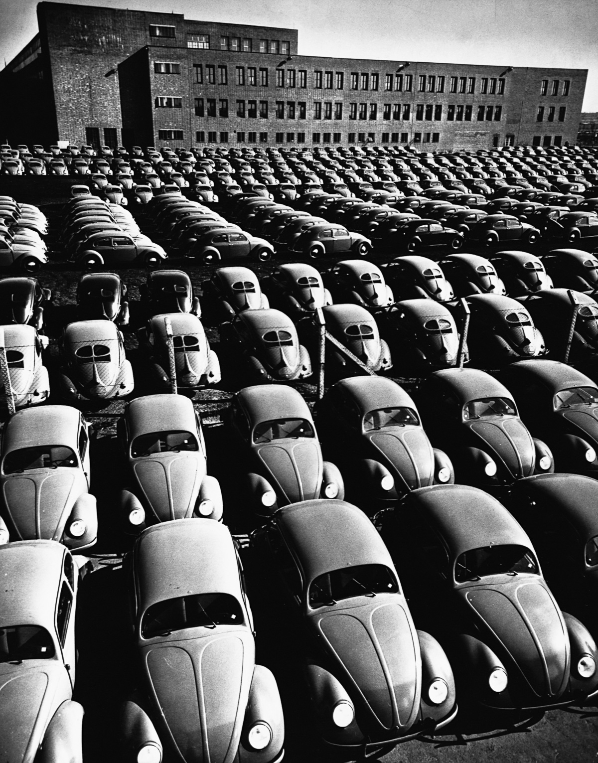 1953-1954, Germany --- Finished Volkswagen "Beetles" fill a storage yard at the VW factory near Brunswich, West Germany, in the early 1950s. | Location: Brunswick, West Germany. --- Image by © CORBIS