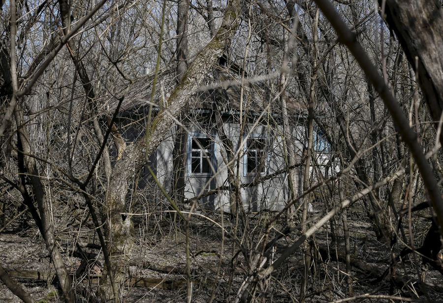 Дом в заброшенном селе "Залесье" вблизи Чернобыльской АЭС, 28 марта 2016 года.