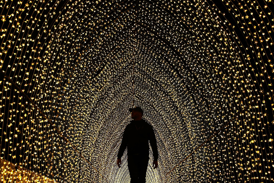 Человек заходит внутрь "Собора света" в Королевском Ботаническом саду, 25 мая 2016 года в Сиднее, Австралия.