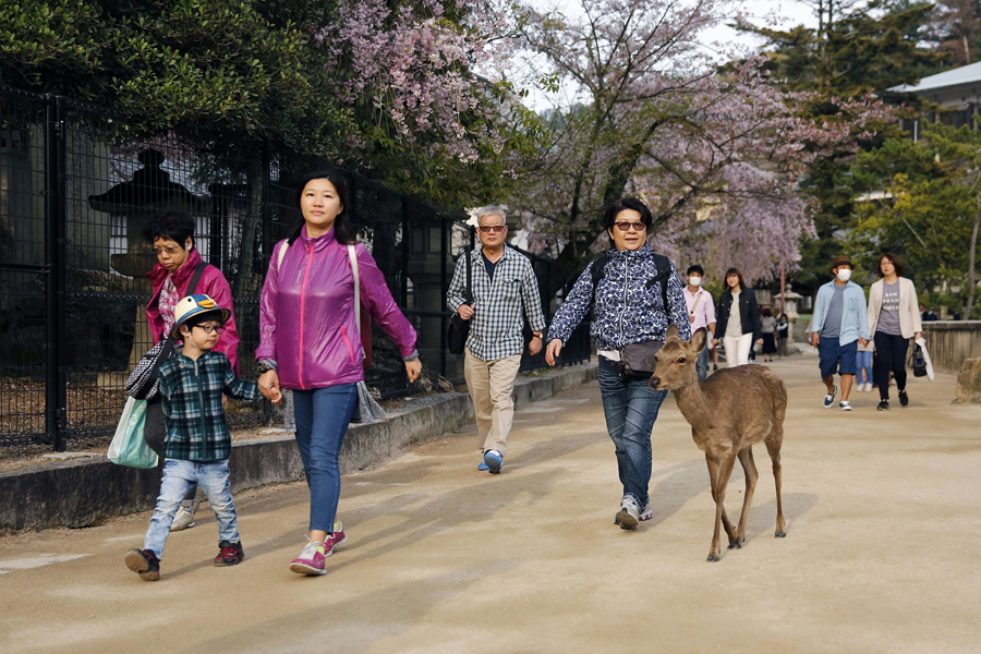 Жители Хиросимы, 10 апреля 2016 года.