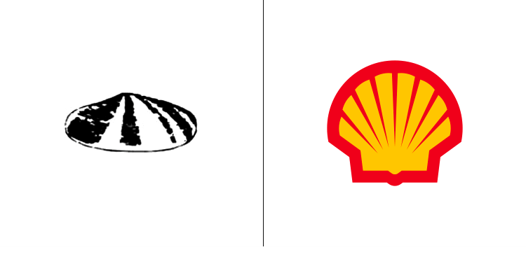 Первый логотип Shell был разработан в 1900 году. Далее компания переработала логотип, сделав его более узнаваемым.