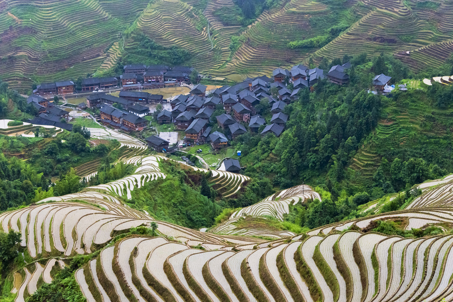 Деревенские дома и заполненные водой рисовые поля в горах, Longsheng, провинция Гуанси, Китай.
