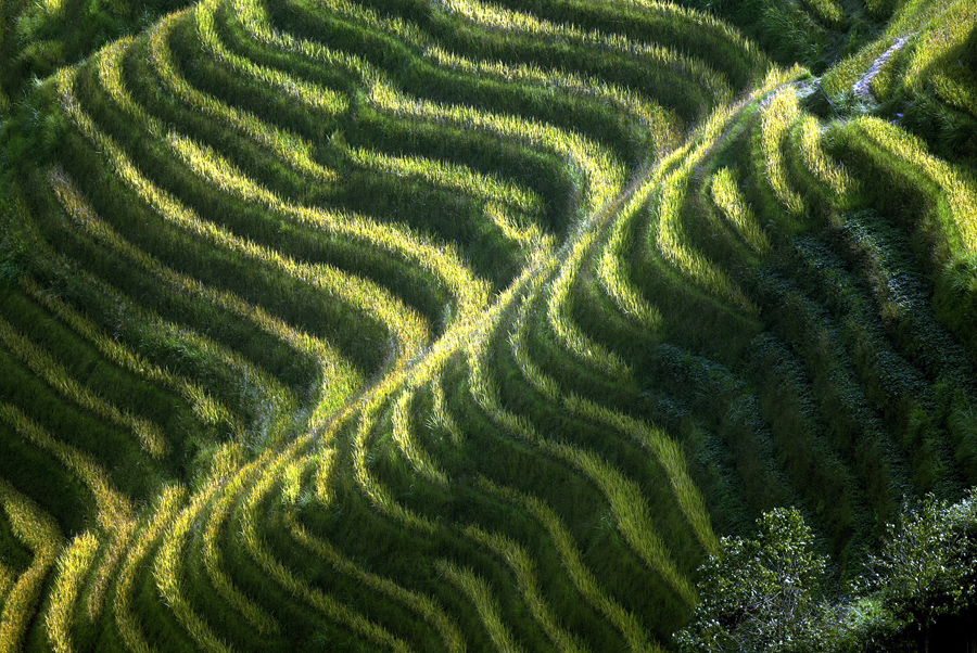 Рисовые террасы возле села, Китай.