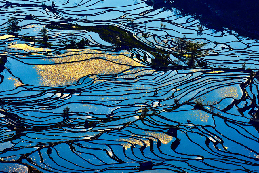 Снимок сделан 20 февраля 2016 года, рисовые террасы на юго - западе Китая провинции Юньнань.