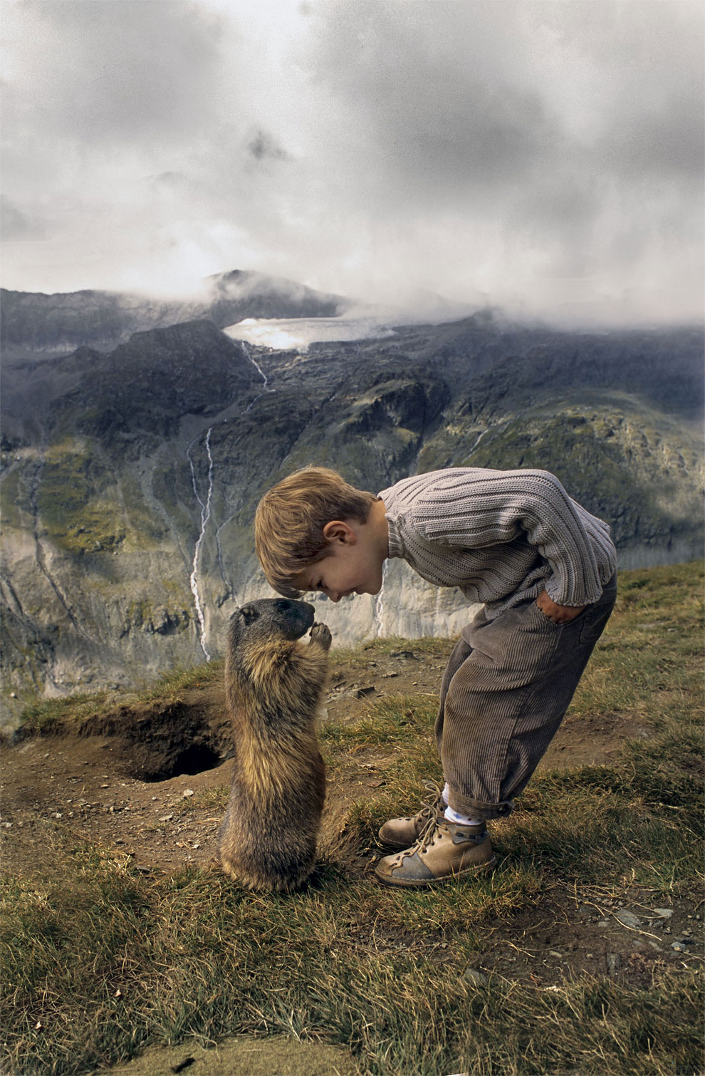 Восхитительные фотографии дружбы австрийского мальчика с застенчивыми суркоми