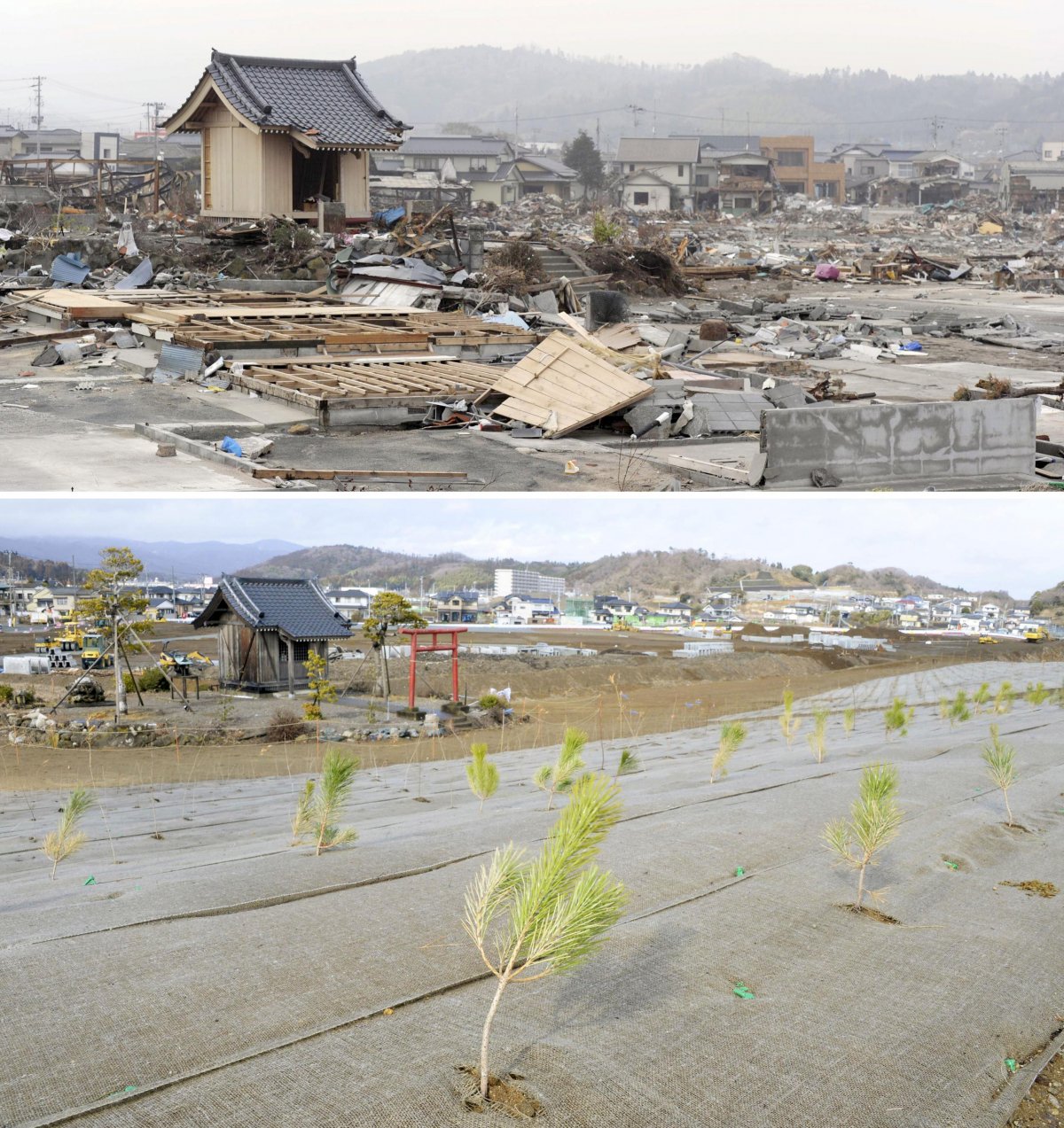 Япония сейчас после цунами