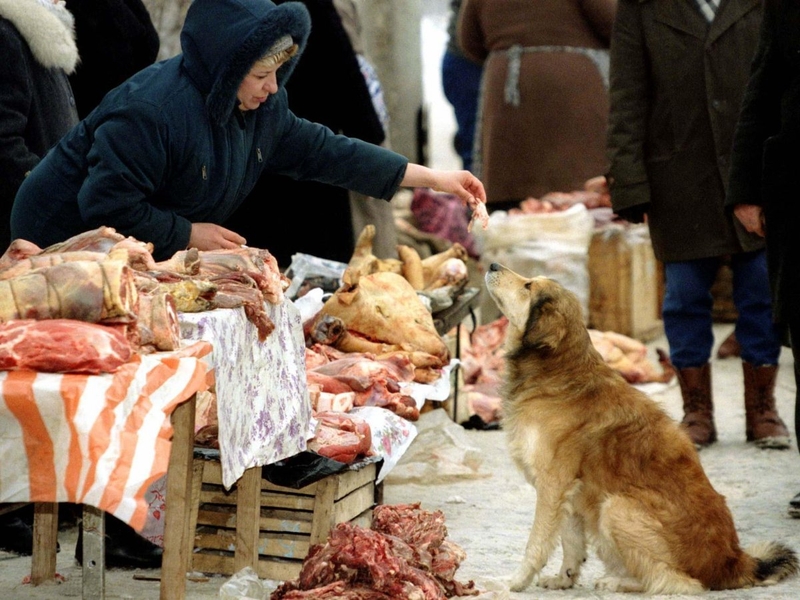 Женщина, торгующая на нелегальном рынке на окраине Москвы, кормит бродячего пса, январь 1997 года.