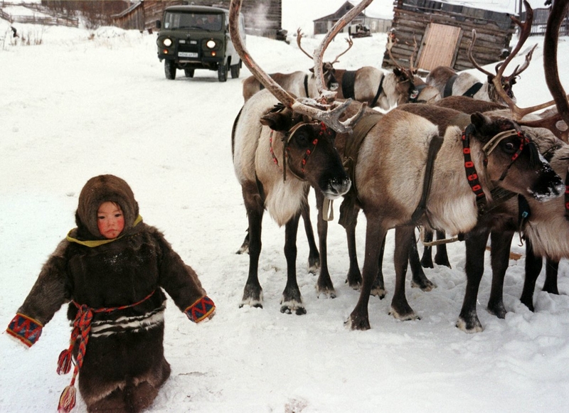 Девочка из народа ханты проходит мимо оленей в минус 30 в селе Аксарка, 2 000 километров от Москвы, 6 ноября 1998 года.