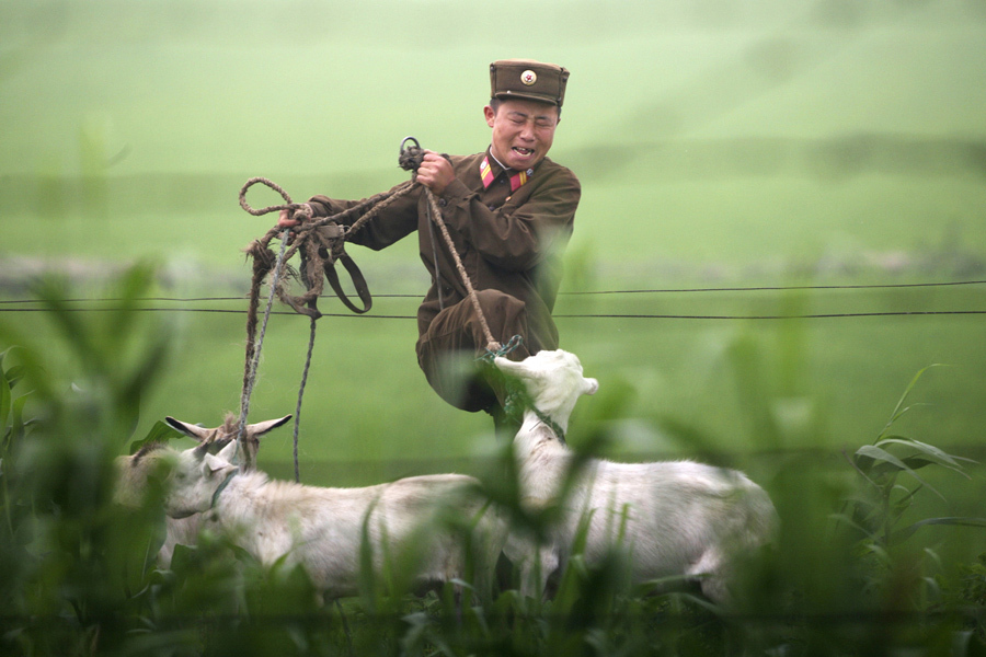 Пограничник Северной-Кореи пинает козу на берегу реки Ялу близ северокорейского города Синыйджу, 5 июля 2009 года.