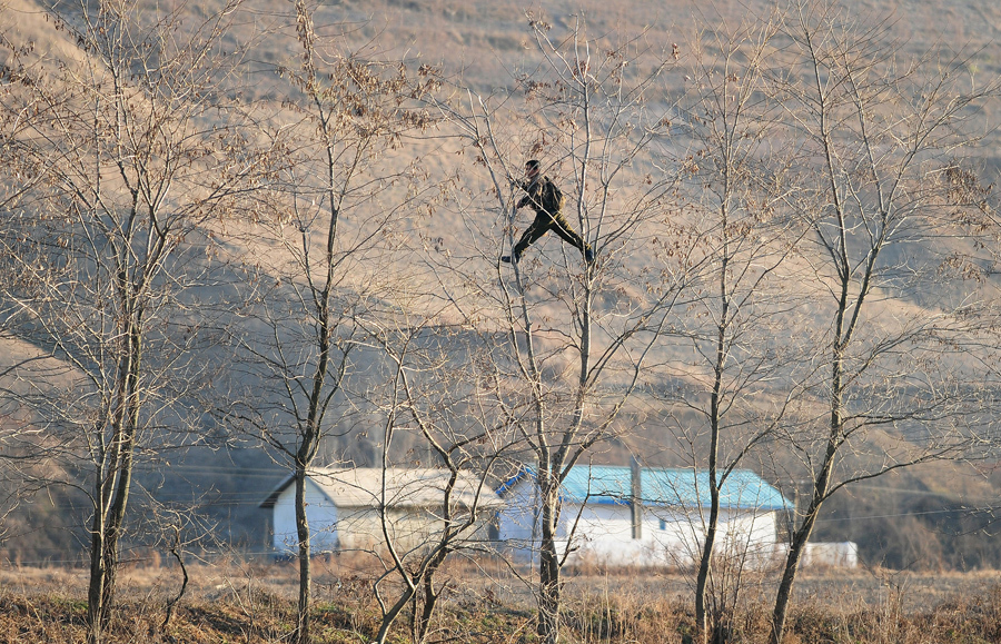 Солдат лазит по деревьям на границе с Китаем, 25 ноября 2010 г.