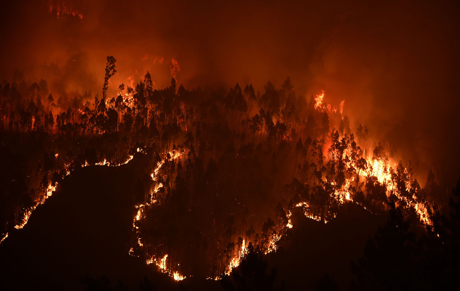 Фотография снятая 18 июня 2017 года показывает лес в огне во время лесного пожара в районе сел Мега Fundeira.