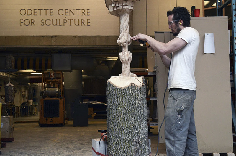 Невероятная скульптура из огромного ствола дерева