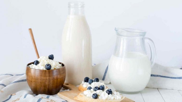 Факты о молочных продуктах