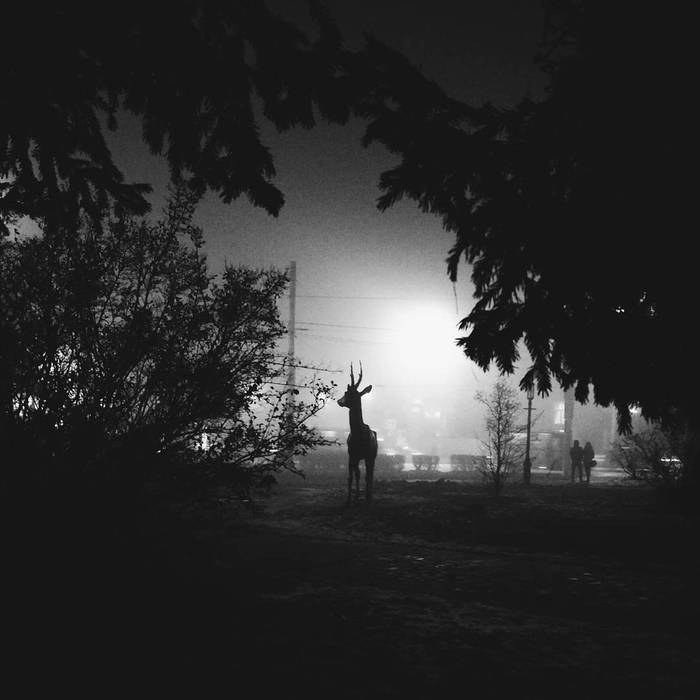 Сайлент Омск: фотографии Омска во время тумана