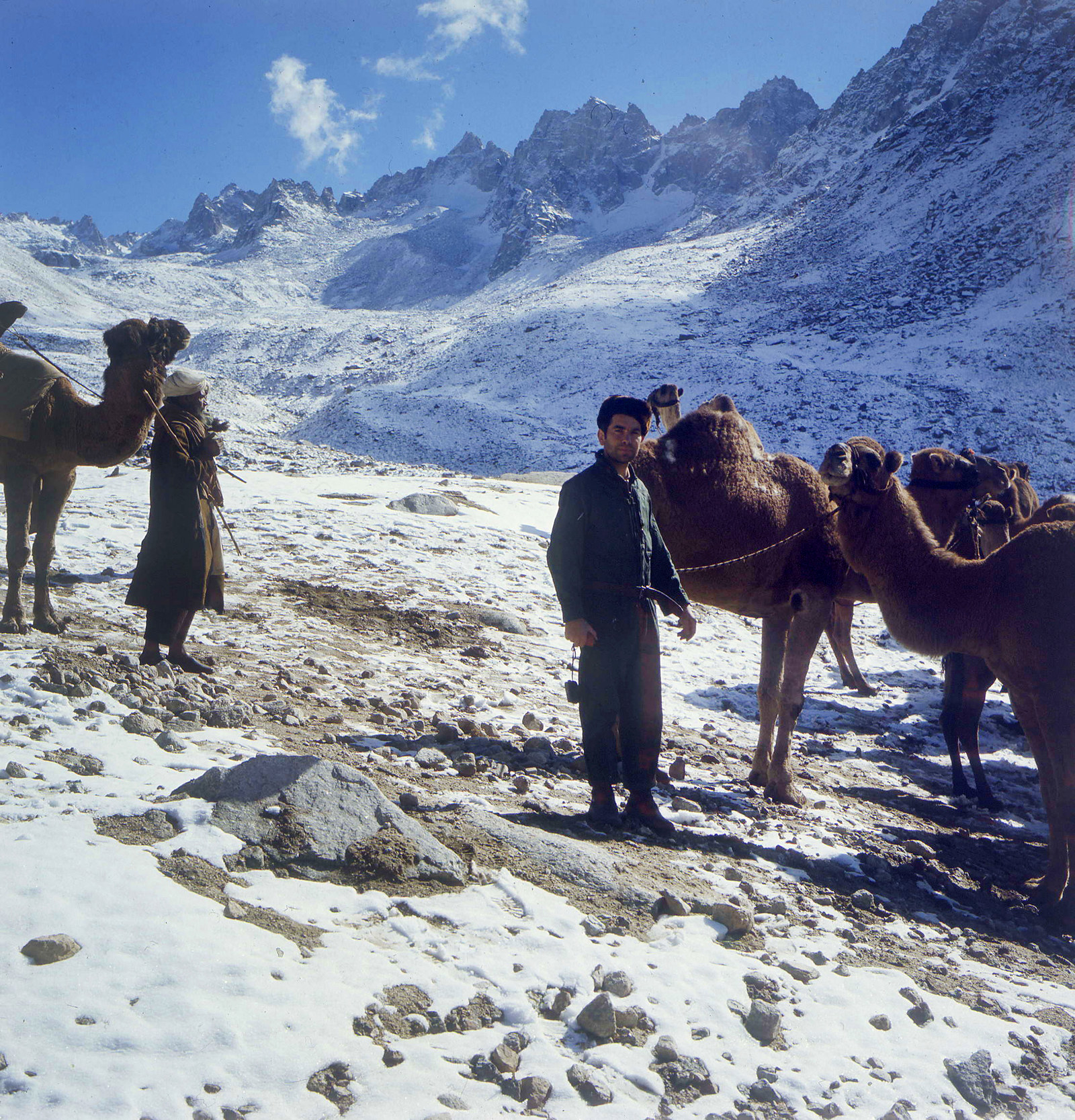 Караван мулов останавливается на привал в заснеженных горах Нуристана, 1970