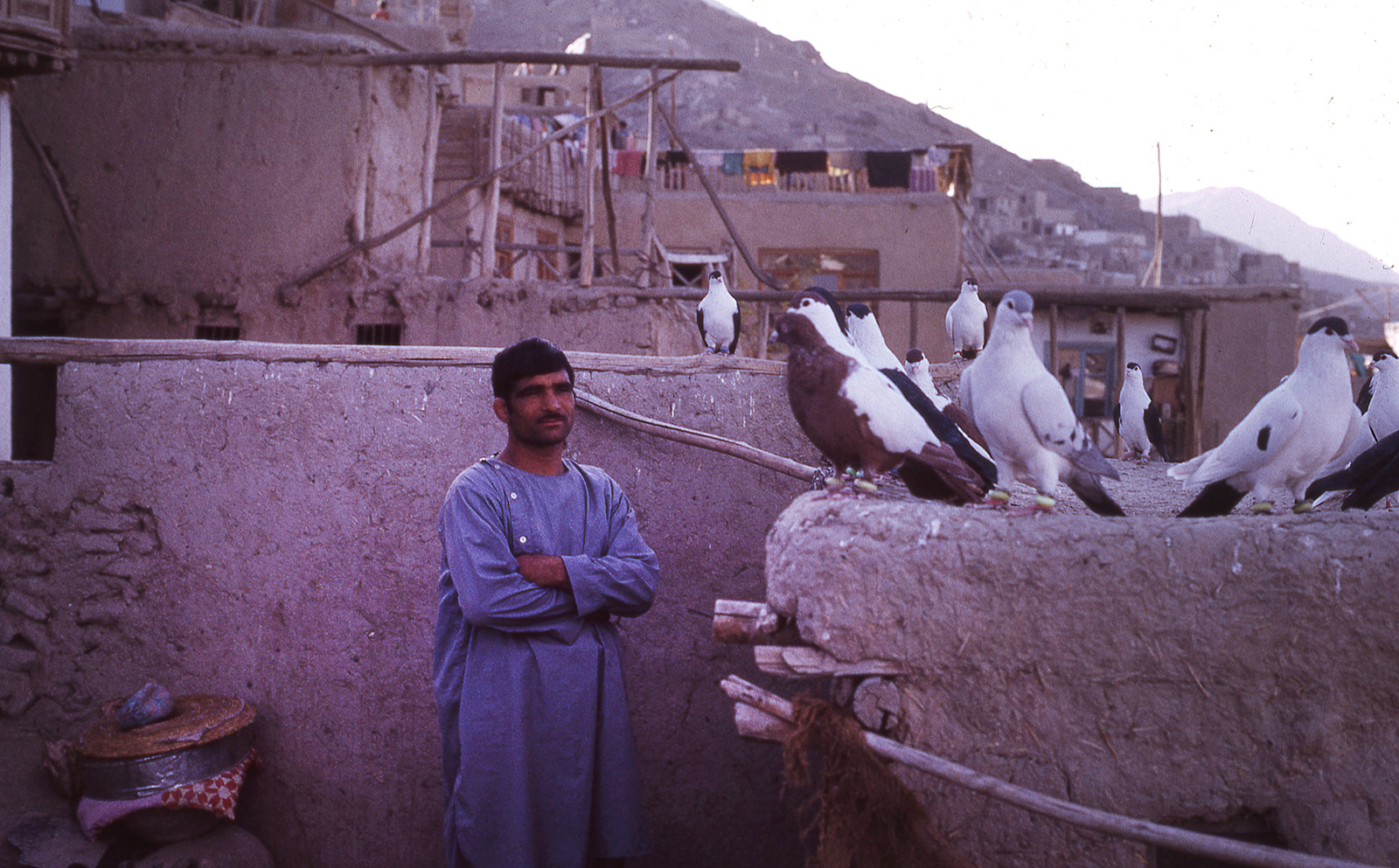 Торговец голубями в Кабуле, 1973