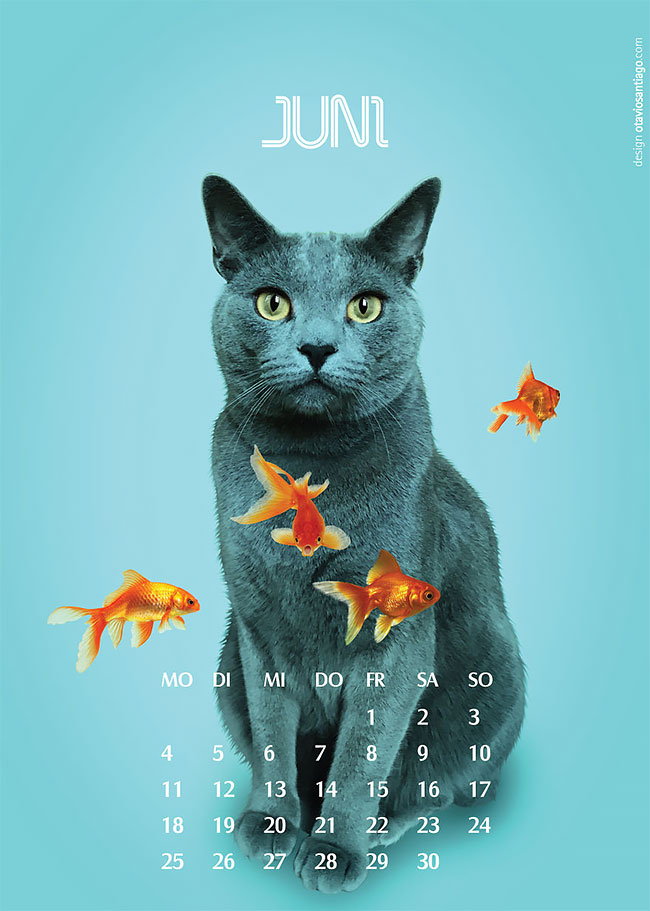 Календарь "Две кошки" на 2018-й год от Отавио Сантьяго