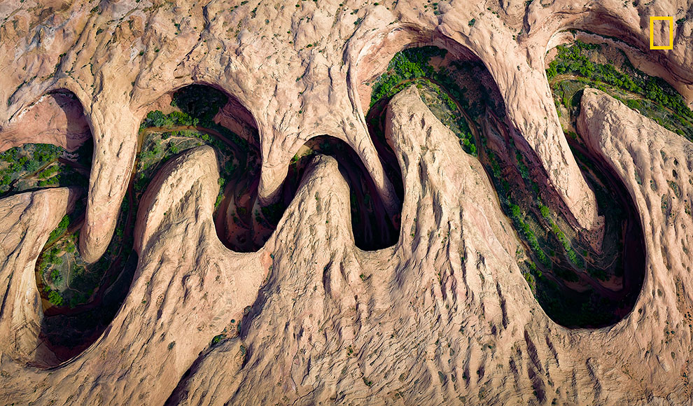 Зеленая растительность у берега реки или прибрежной зоны извилистого каньона в штате Юта.