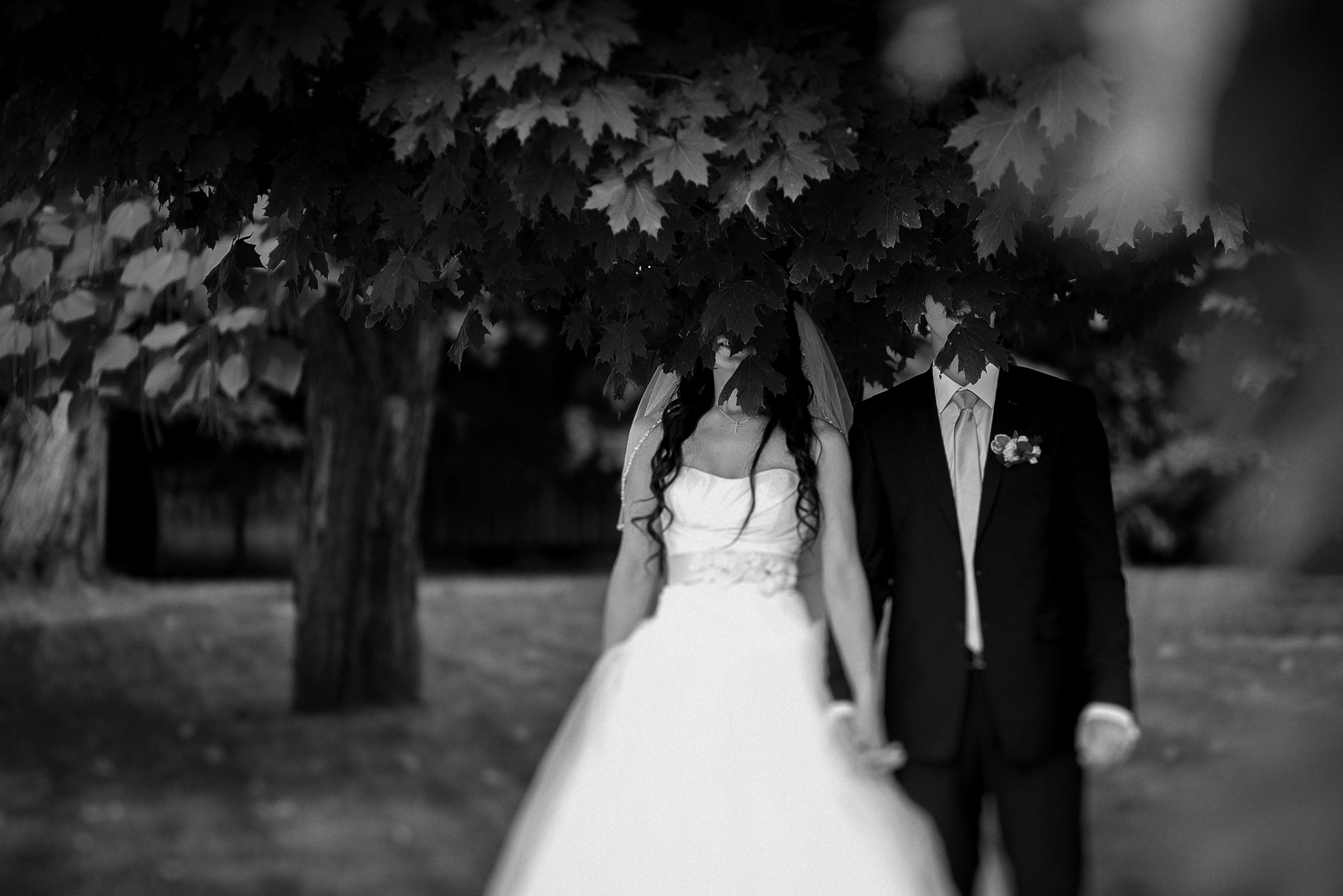 50 лучших свадебных фотографий по версии PicWorld