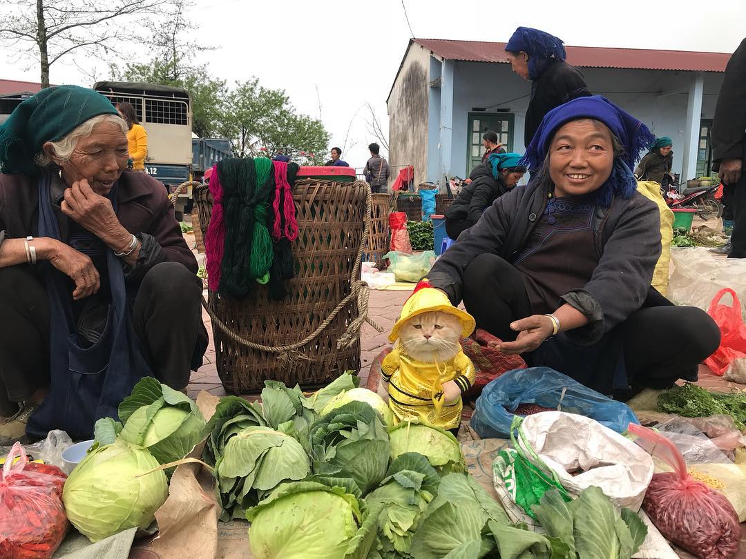 Уличный торговец из Вьетнама - КОТ