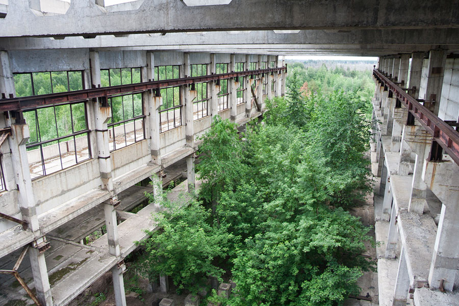 Заросшие руины промышленного комбината в Воронежской области