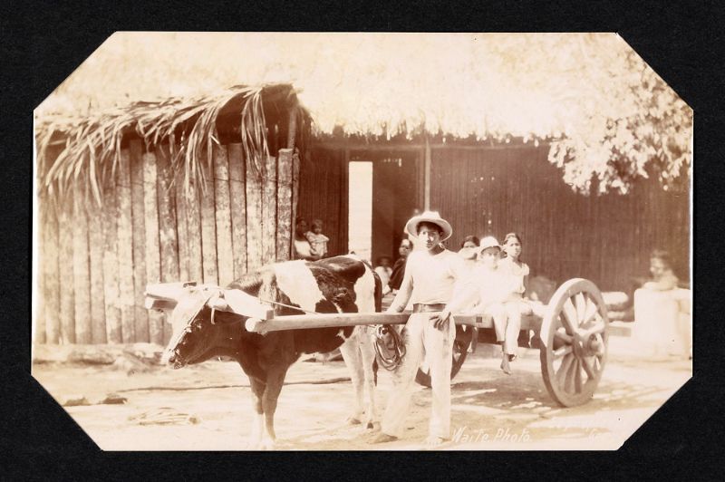 Удивительные фотографии повседневной жизни Мексики в 1902 году