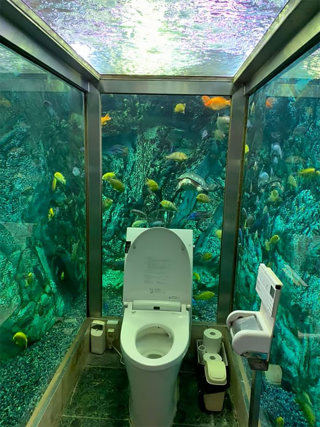 Ресторан в котором есть туалет в аквариуме
