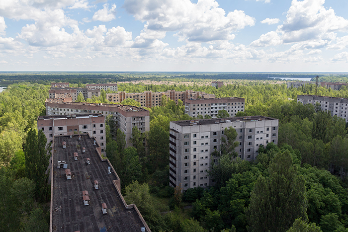 Природа в Зоне отчуждения вокруг Чернобыля
