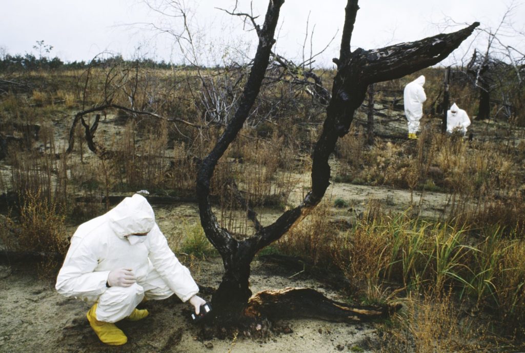 Тени Чернобыля: новые снимки последствий катастрофы