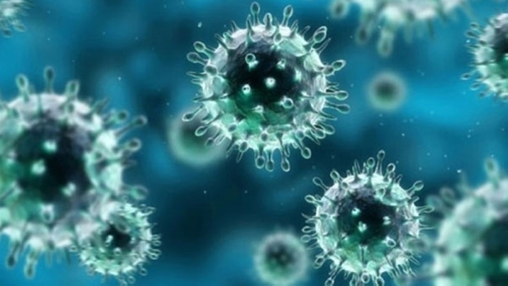Факты о смертельном коронавирусе
