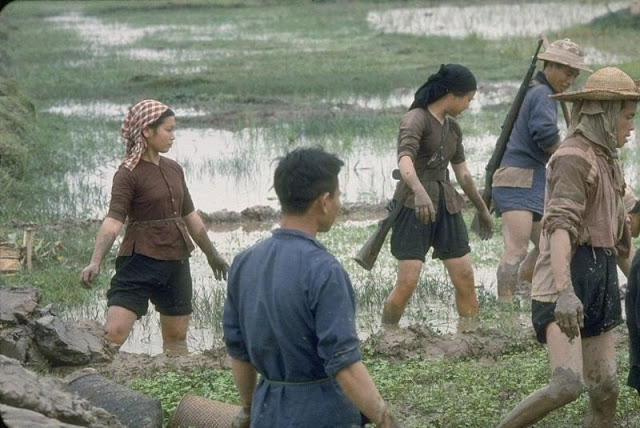 Редкие винтажные цветные фотографии Северного Вьетнама 1967 года