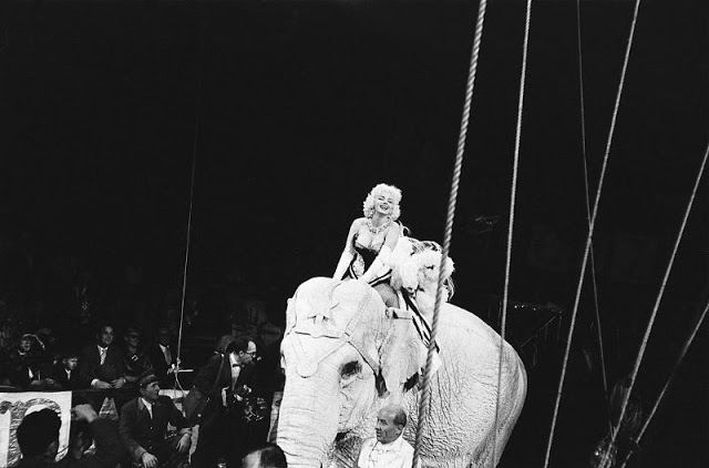 Яркие винтажные фотографии Мэрилин Монро верхом на розовом слоне