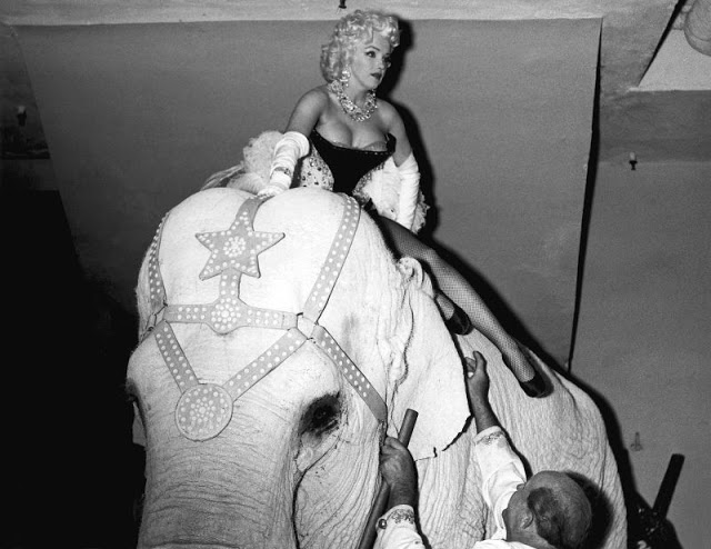 Яркие винтажные фотографии Мэрилин Монро верхом на розовом слоне