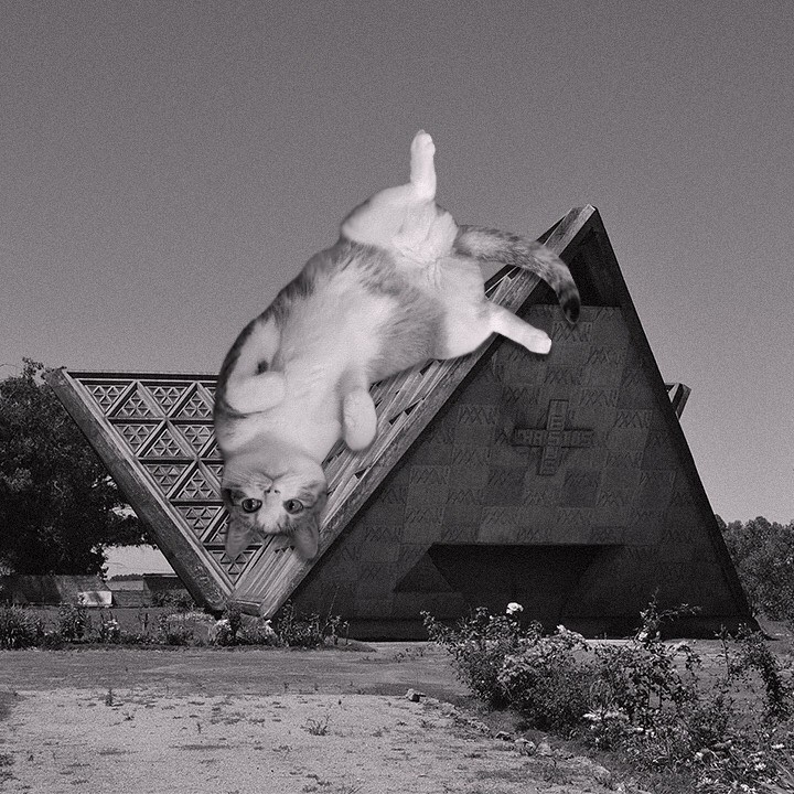Бруталистская архитектура и гигантские кошки