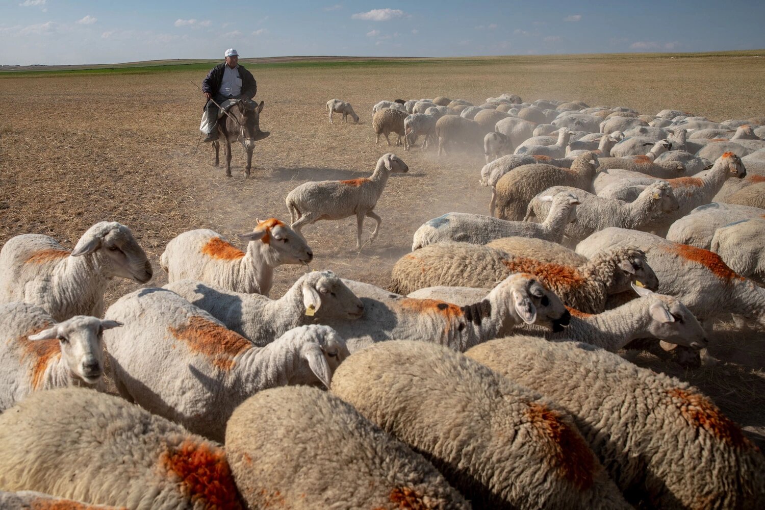 Засуха и воронки угрожают фермерам в Турции