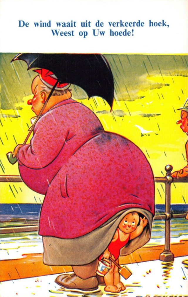 30 юмористических комических открыток с толстыми дамами от Дональда МакГилла начала ХХ века