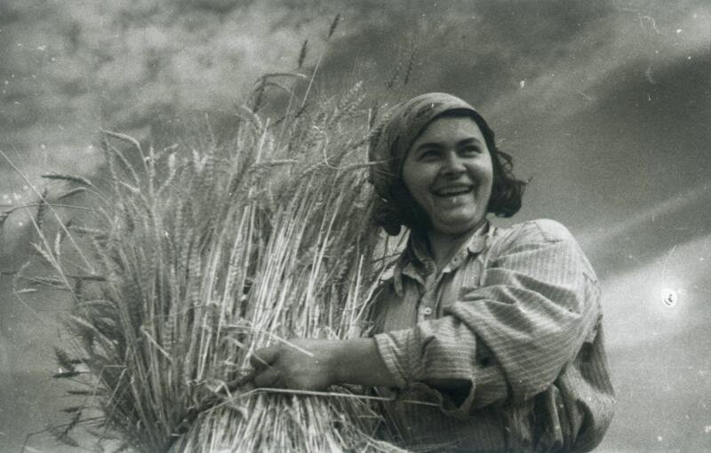 Счастливое время сбора урожая в СССР