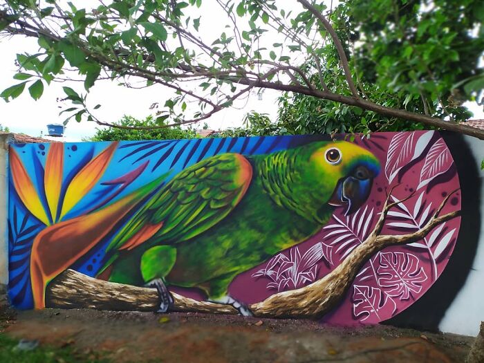 Уличный художник из Бразилии набирает обороты после того, как использовал деревья в качестве «волос» для своих женских портретов