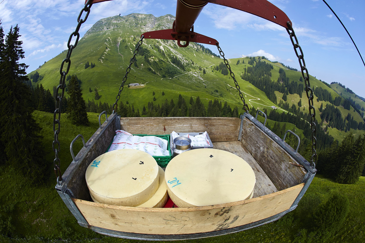 Как производят сыр в Швейцарии