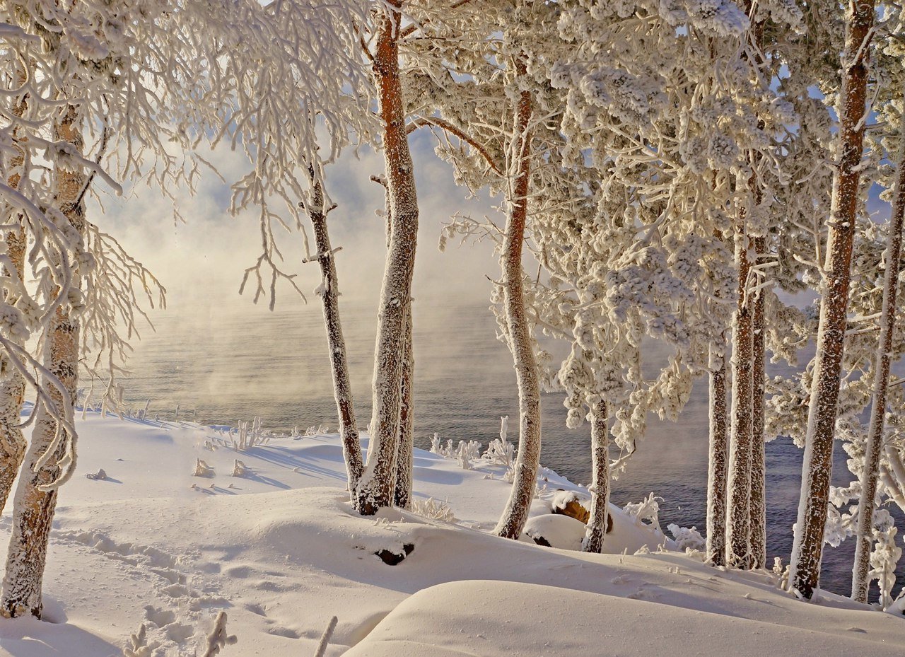 Красота сибирской зимы