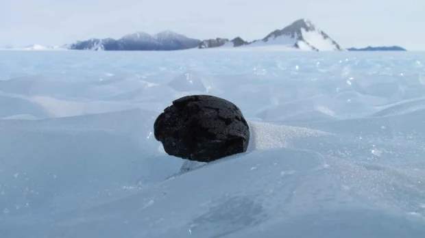 В Антарктиде могут находиться сотни тысяч упавших ценных метеоритов