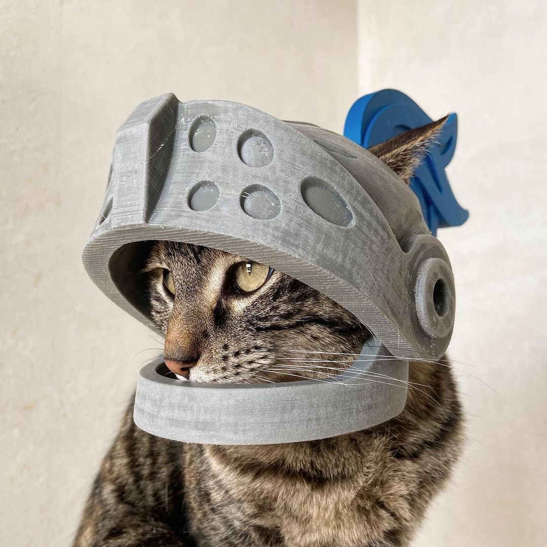 Этот парень делает 3D-печатные шлемы для своего кота